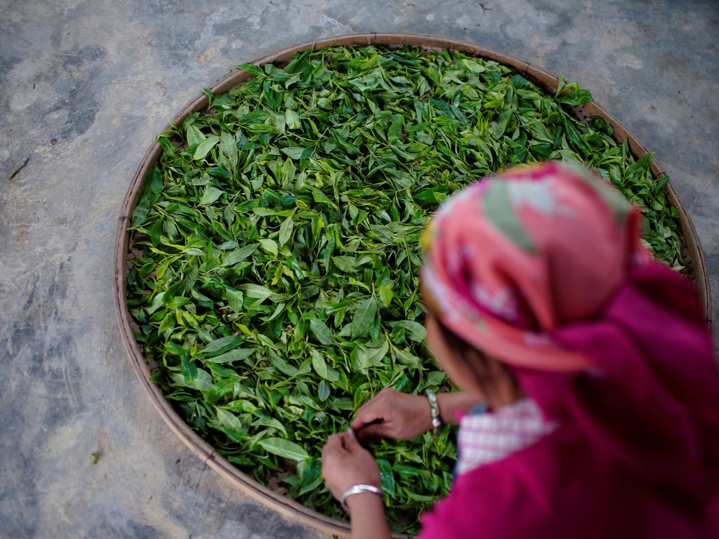 Una agricultora pone a secar hojas de té en una plantación en las montañas de China. (Reuters)
