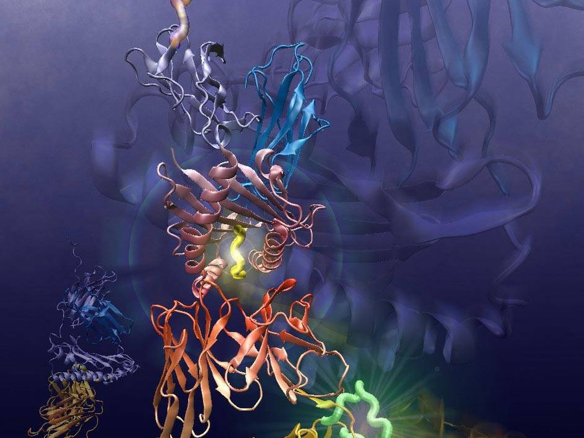 Foto: Simulación de un receptor de una célula con un antígeno (en amarillo en el medio). Foto: Texas A
