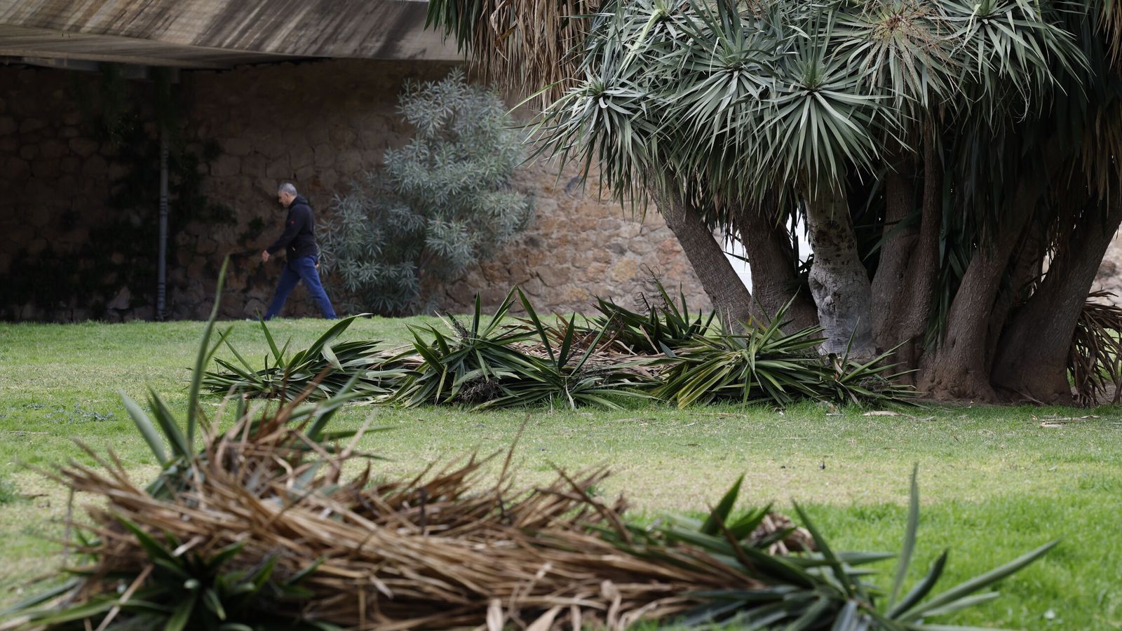 Las intensas lluvias y vientos de hasta 150 kilómetros por hora provocan daños en la provincia de Valencia