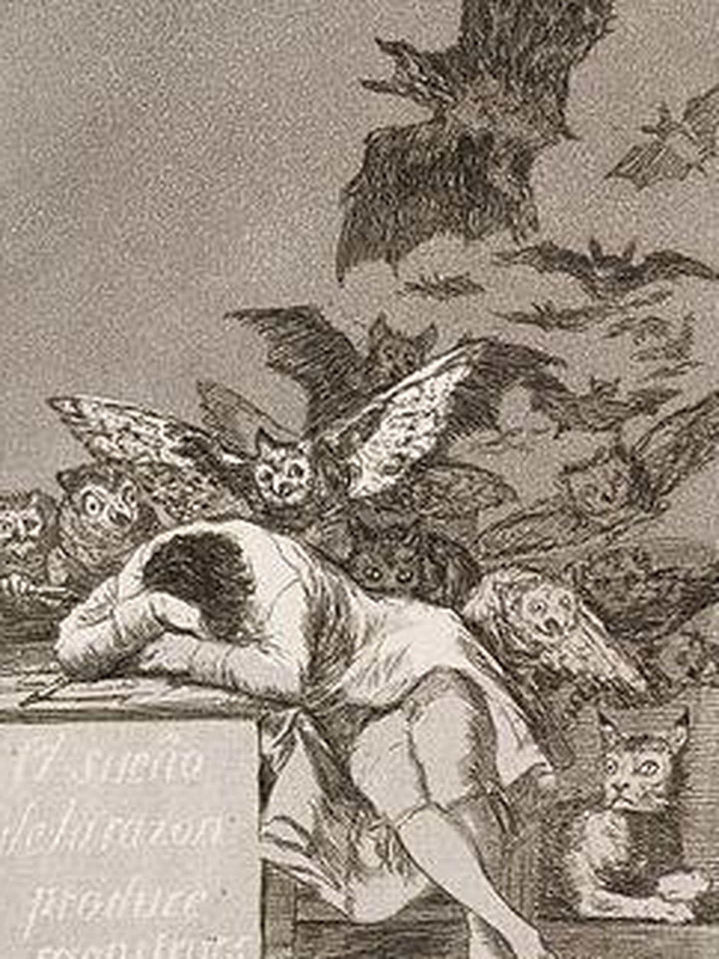 'El sueño de la razón produce monstruos'. Francisco de Goya.