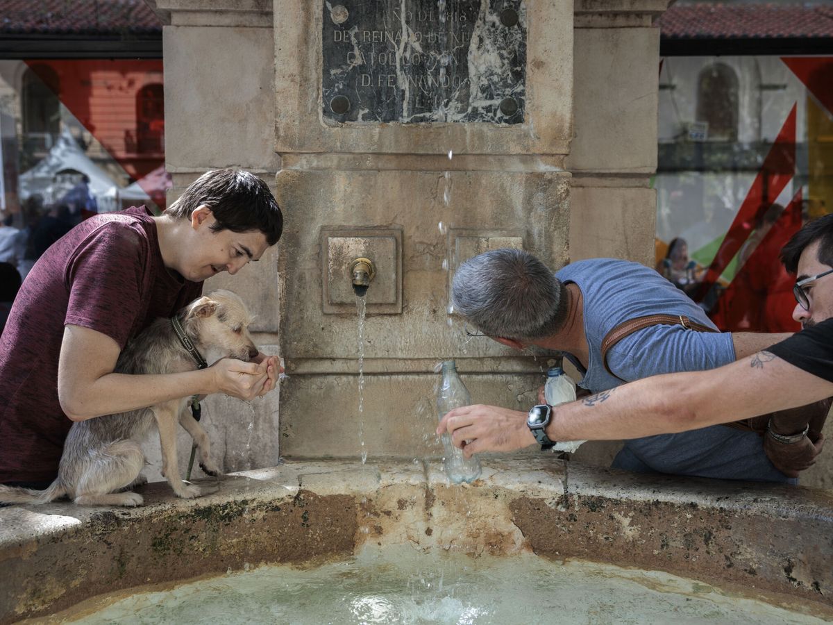 Foto: Unas personas y un perro se refrescan en una fuente ante el intenso calor (EFE/Biel Aliño)