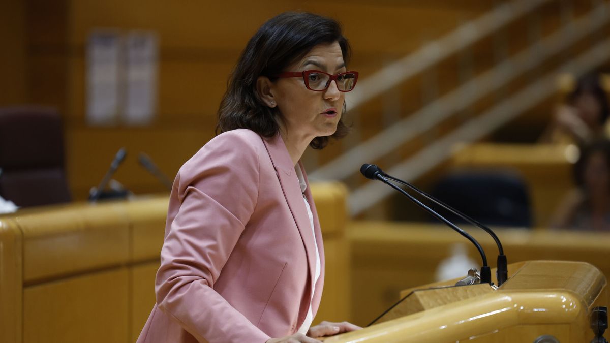 El PSOE pidió a sus senadores actualizar sus bienes en plena ofensiva del caso Marbella