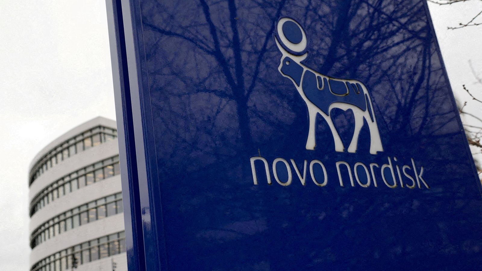 Novo Nordisk demanda a Eli Lilly en EEUU por publicidad engañosa y competencia desleal