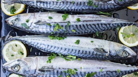 ¿Cuánto pescado azul debes comer para proteger tu corazón?