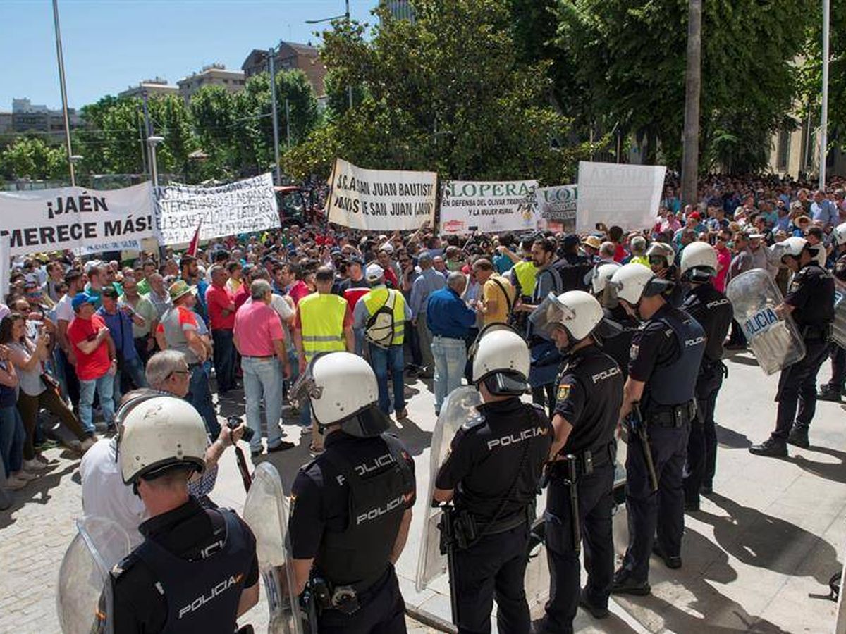 Foto: Protesta en Jaén por el desplome del precio del aceite. (EFE)