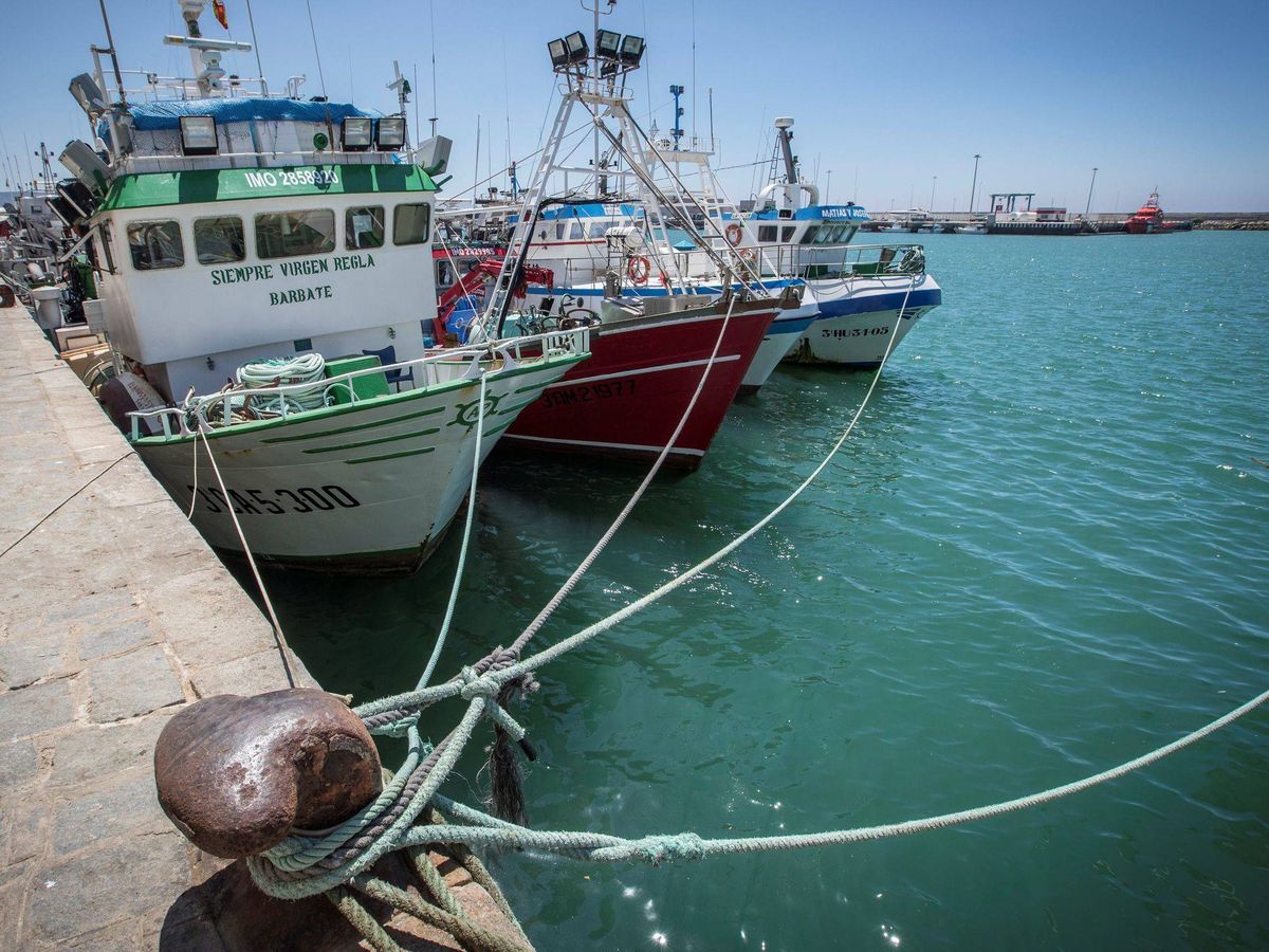 Foto: Pesqueros en el puerto de Barbate, Cádiz, que quedaron amarrados cuando expiró en 2018 el anterior protocolo de pesca con Marruecos. (EFE/Román Ríos)
