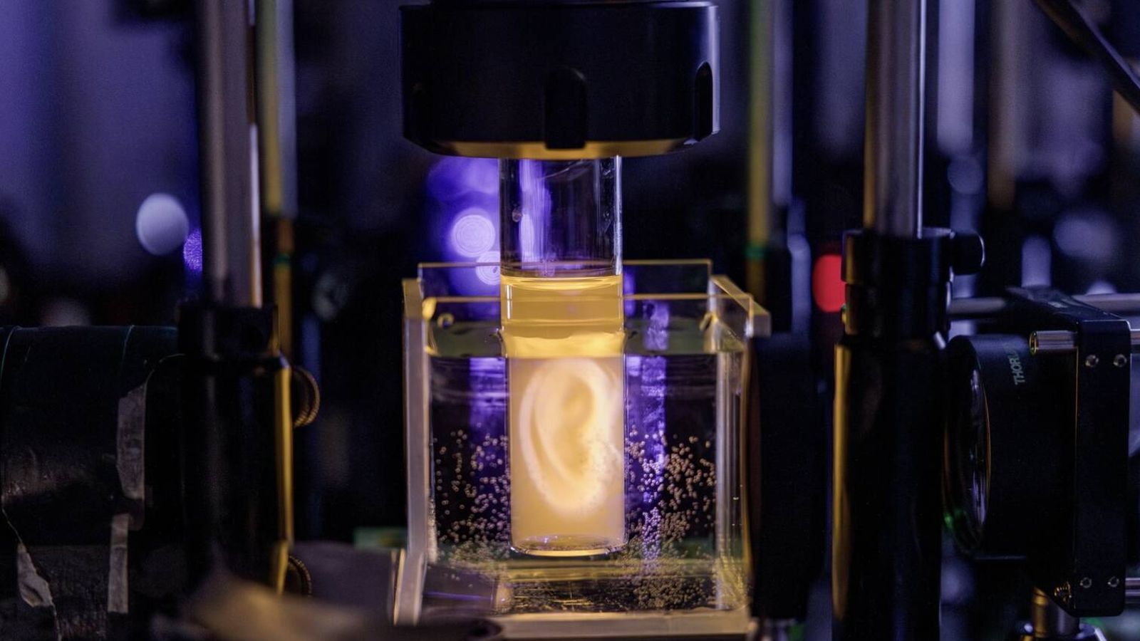 Suiza rompe las reglas de la biología y fabrica una oreja 3D con células vivas impresas