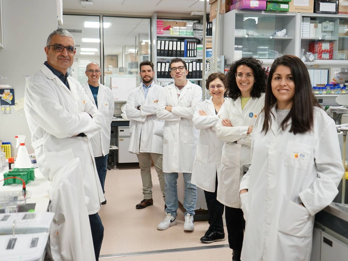 Foto: Integrantes del laboratorio de Xosé Bustelo que han participado en la investigación. (CSIC)