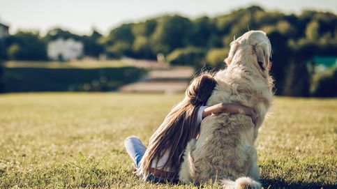 Cómo mejorar el comportamiento de tu perro para que sea la mascota perfecta