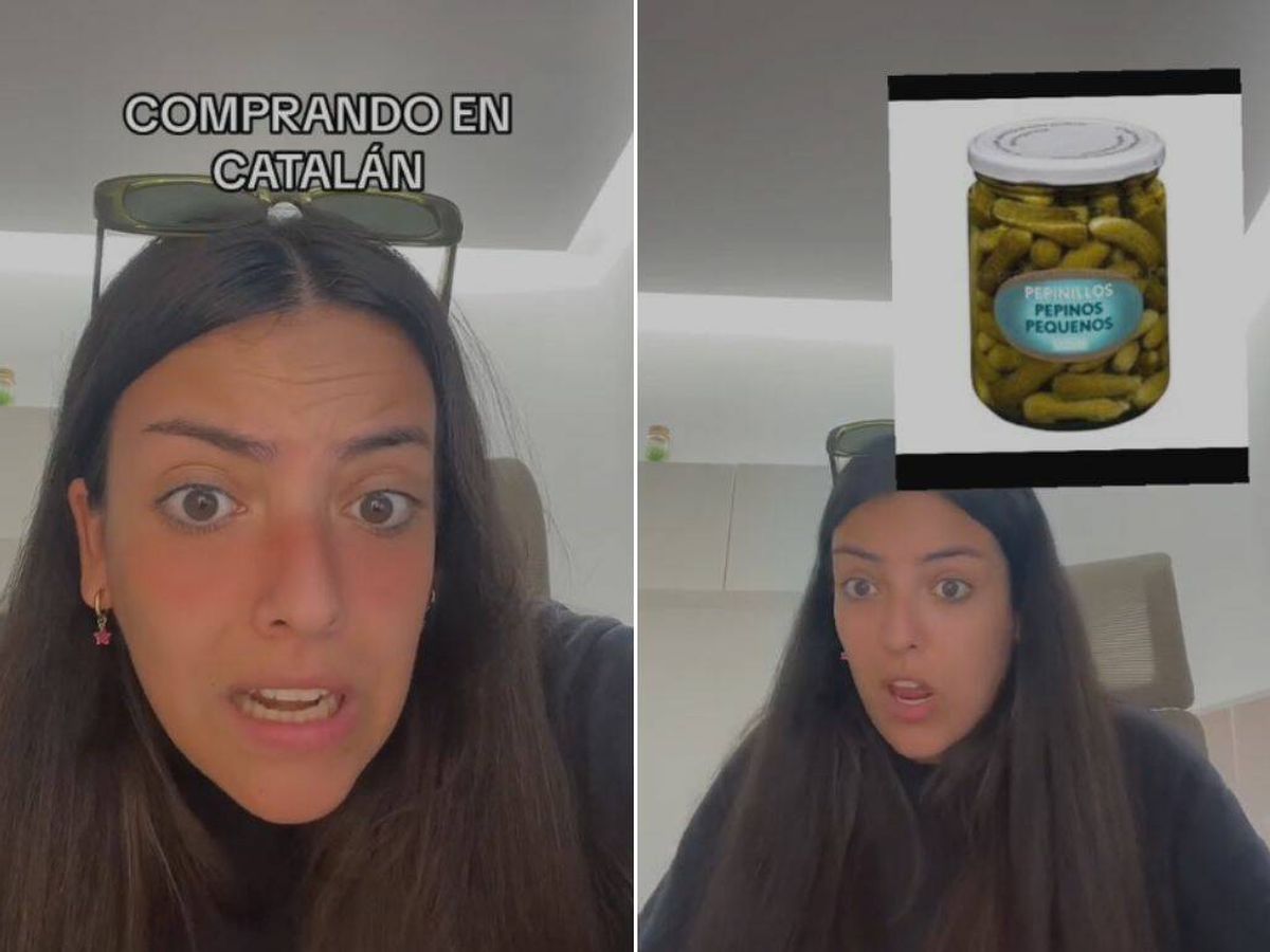 Foto: Una murciana se queda a cuadros al comprar en un supermercado catalán y ver el ticket: "Parece un jeroglífico" (TikTok/@marilarat)
