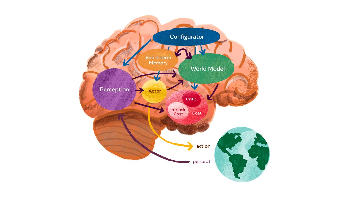 El mapa cerebral de los seis modelos de LeCun. (Meta)