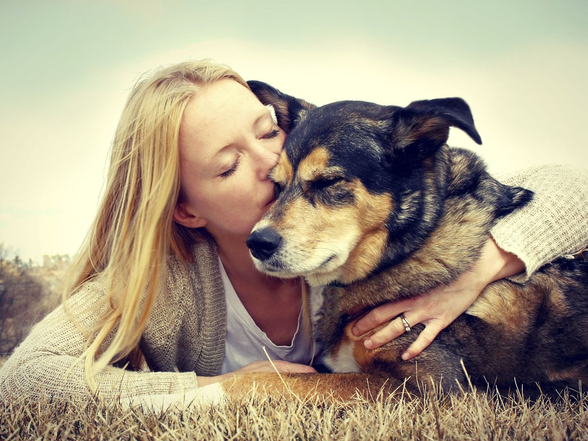 Foto: Los perros cambian de personalidad a lo largo de la vida (iStock)