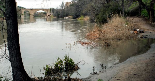 Foto: Crecida del río tajo a su paso por Toledo. (EFE)