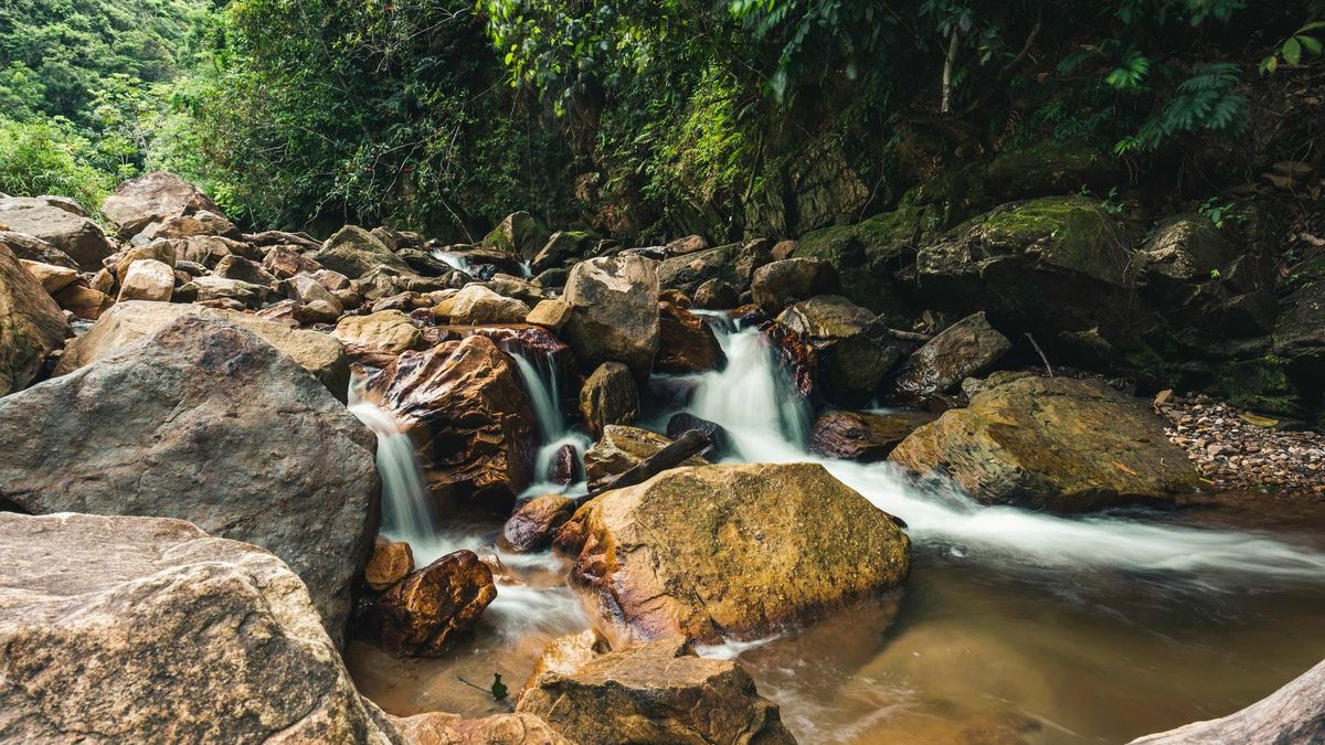 El Amazonas ya libera más carbono del que absorbe: así se agrava el efecto invernadero