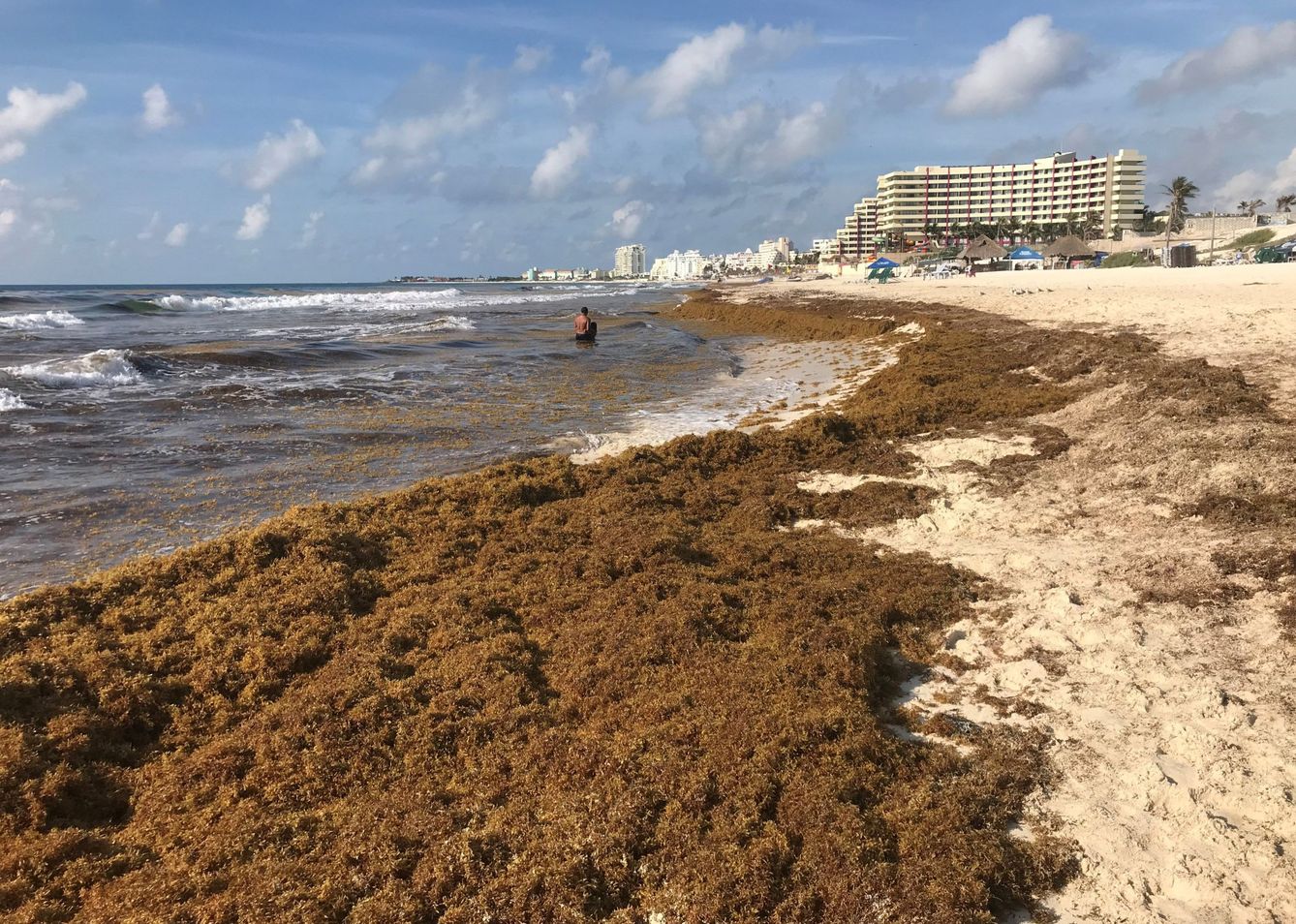 Cada día hay que retirar toneladas de sargazo en la zona hotelera de Cancún
