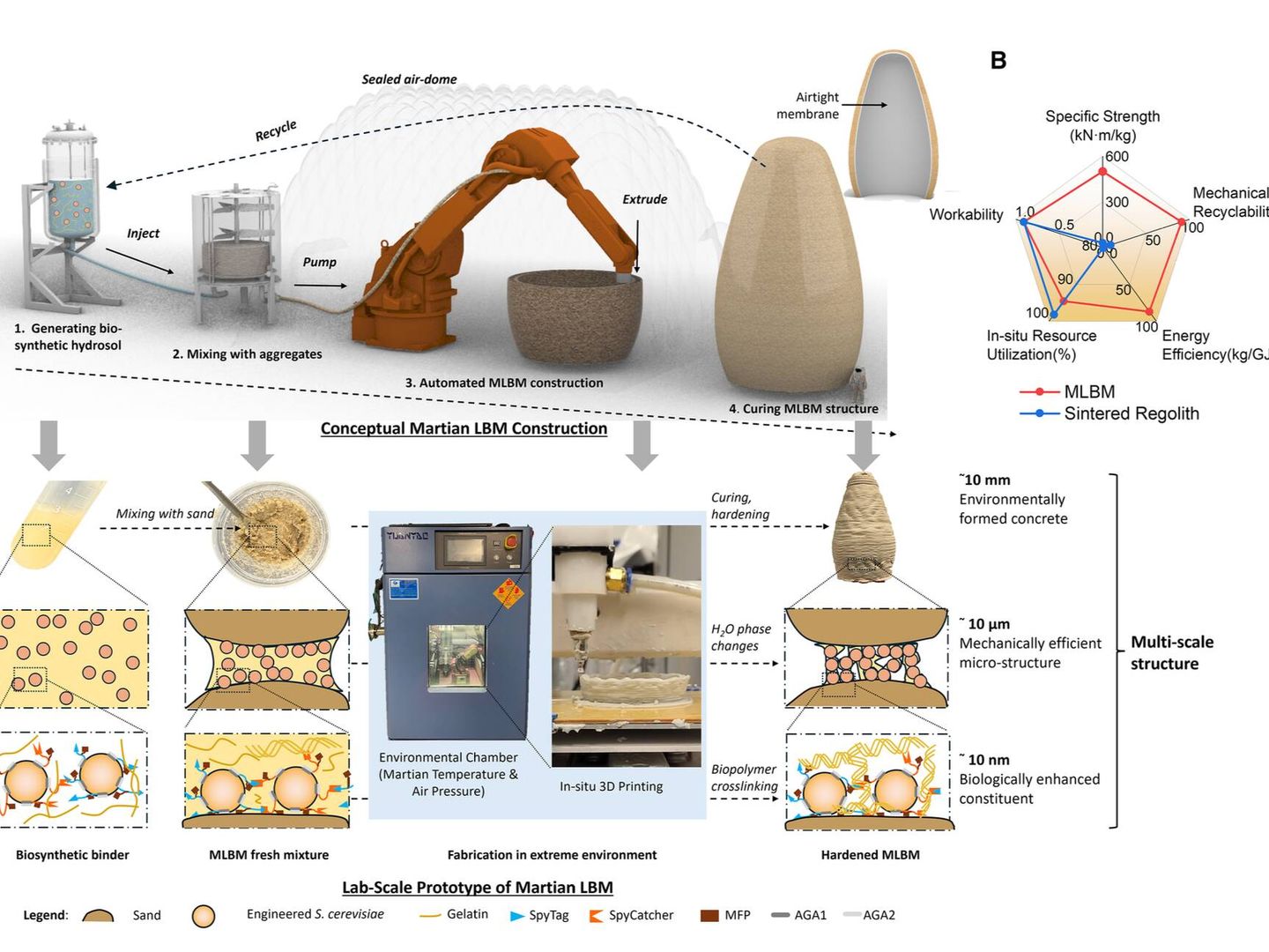 Imagen el método de construcción. (Cell)
