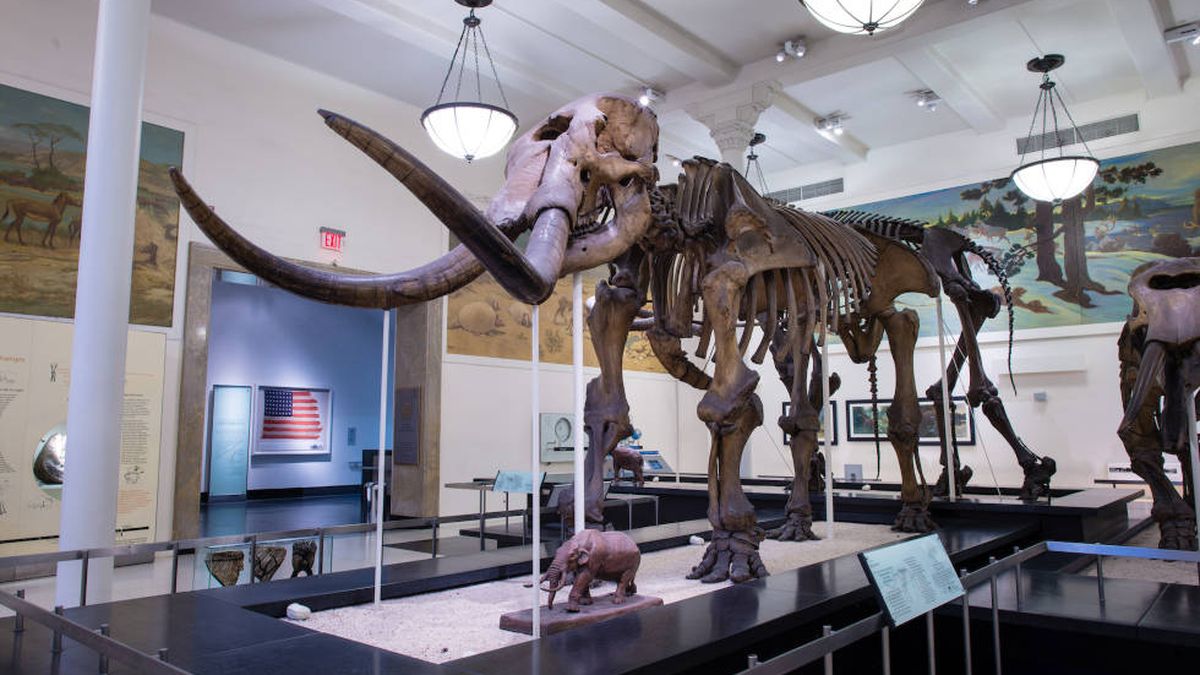 El clima hizo a los mastodontes unos grandes migrantes (y provocó su extinción)