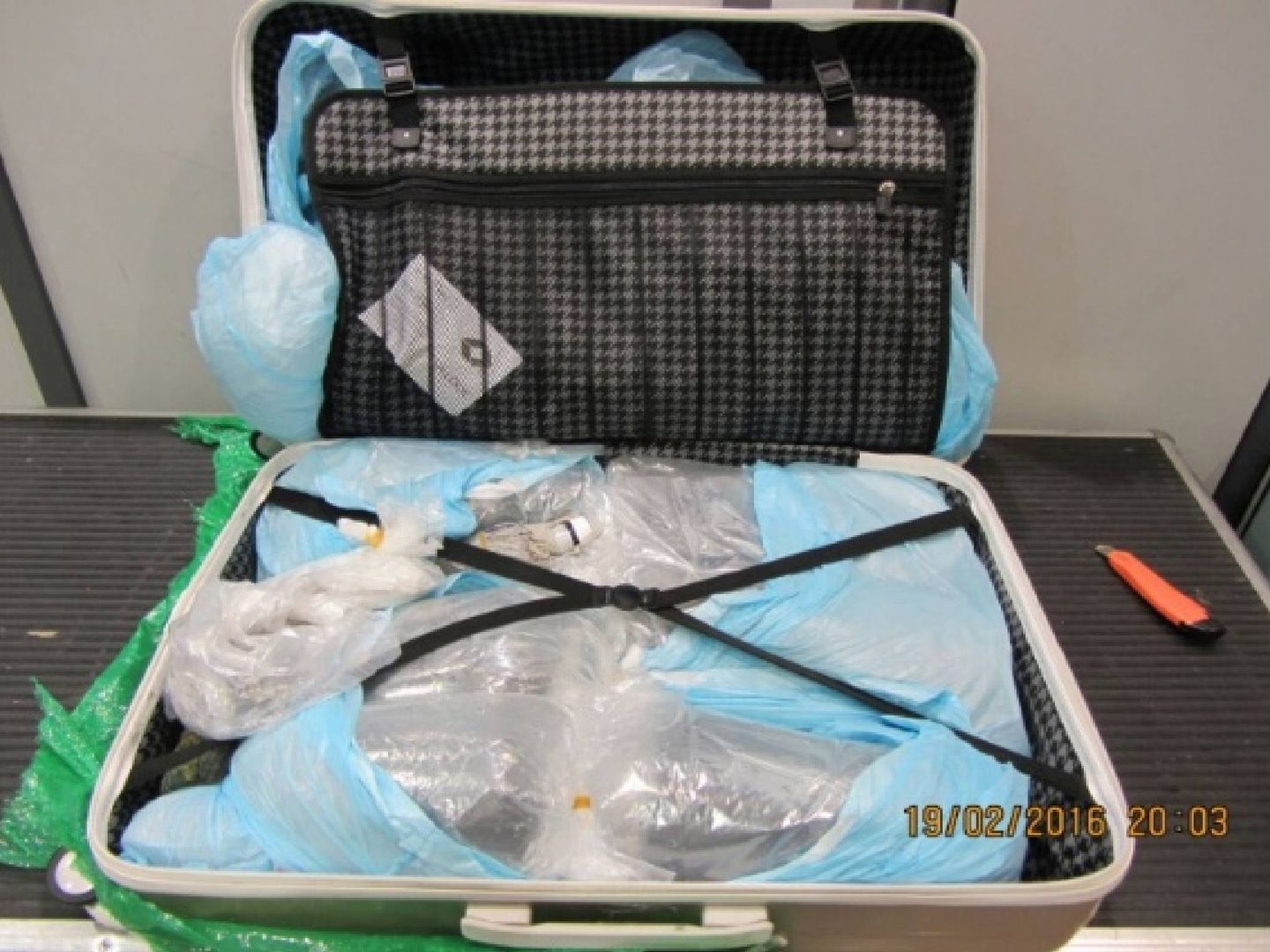 Una maleta preparada para sacar las angulas fuera de España. (Seprona)