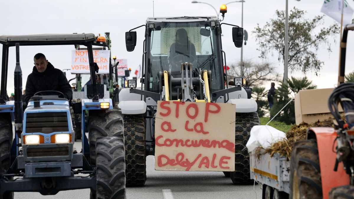 El Gobierno francés culpa de sus problemas con los agricultores a la "competencia desleal" de España e Italia
