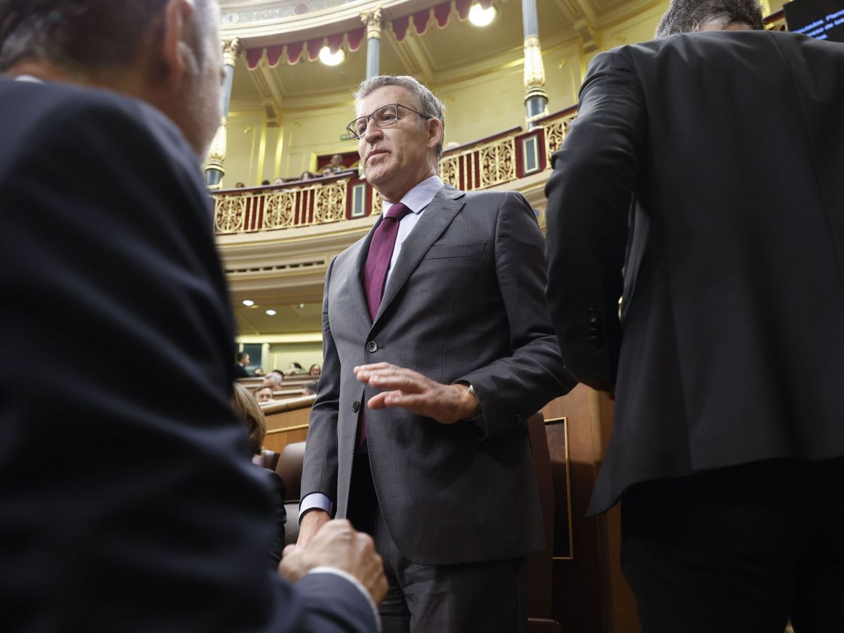 Foto: El líder del PP, Alberto Núñez Feijóo. (EFE/Mariscal)