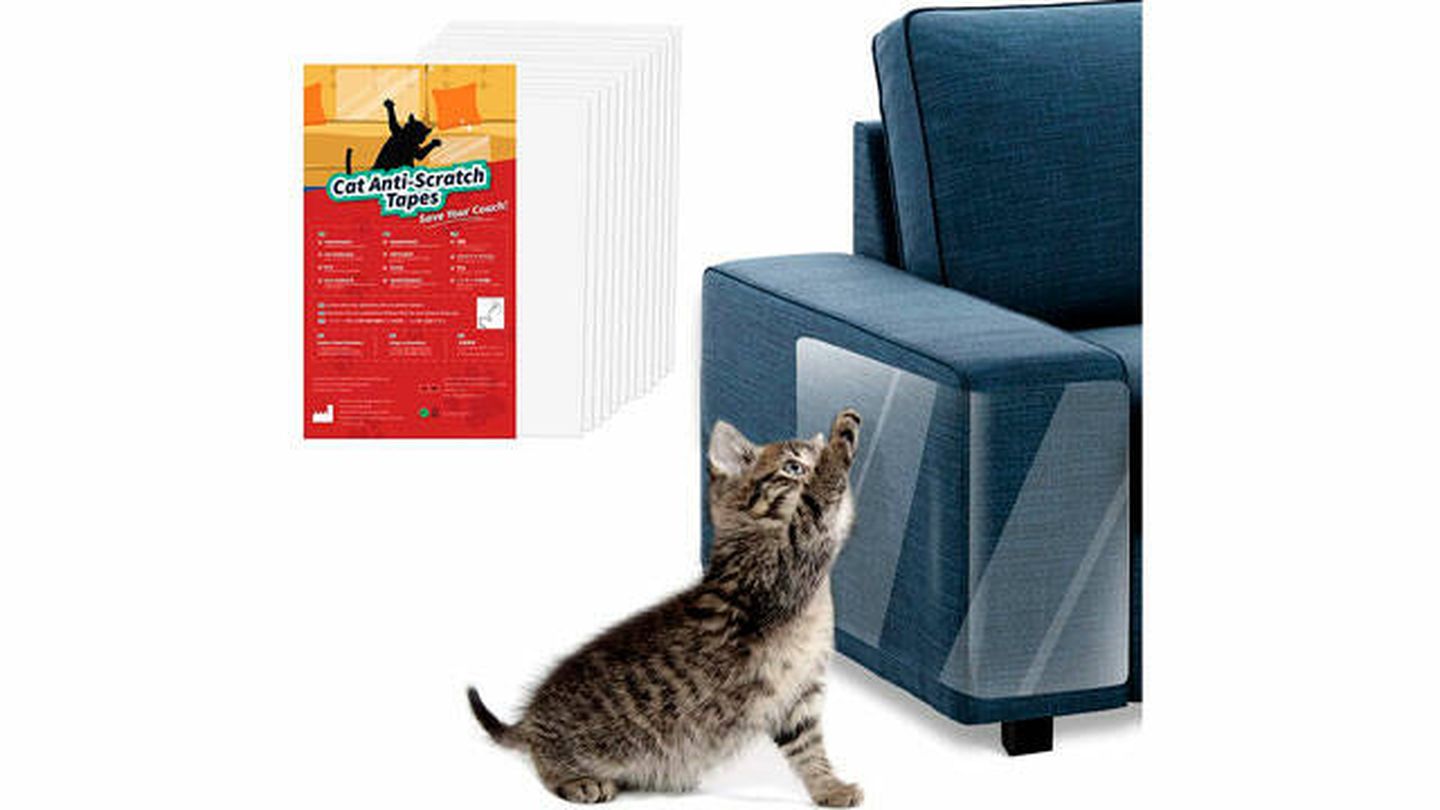 El protector de sofá para gatos que usa tu veterinario: cómo evitar arañazos