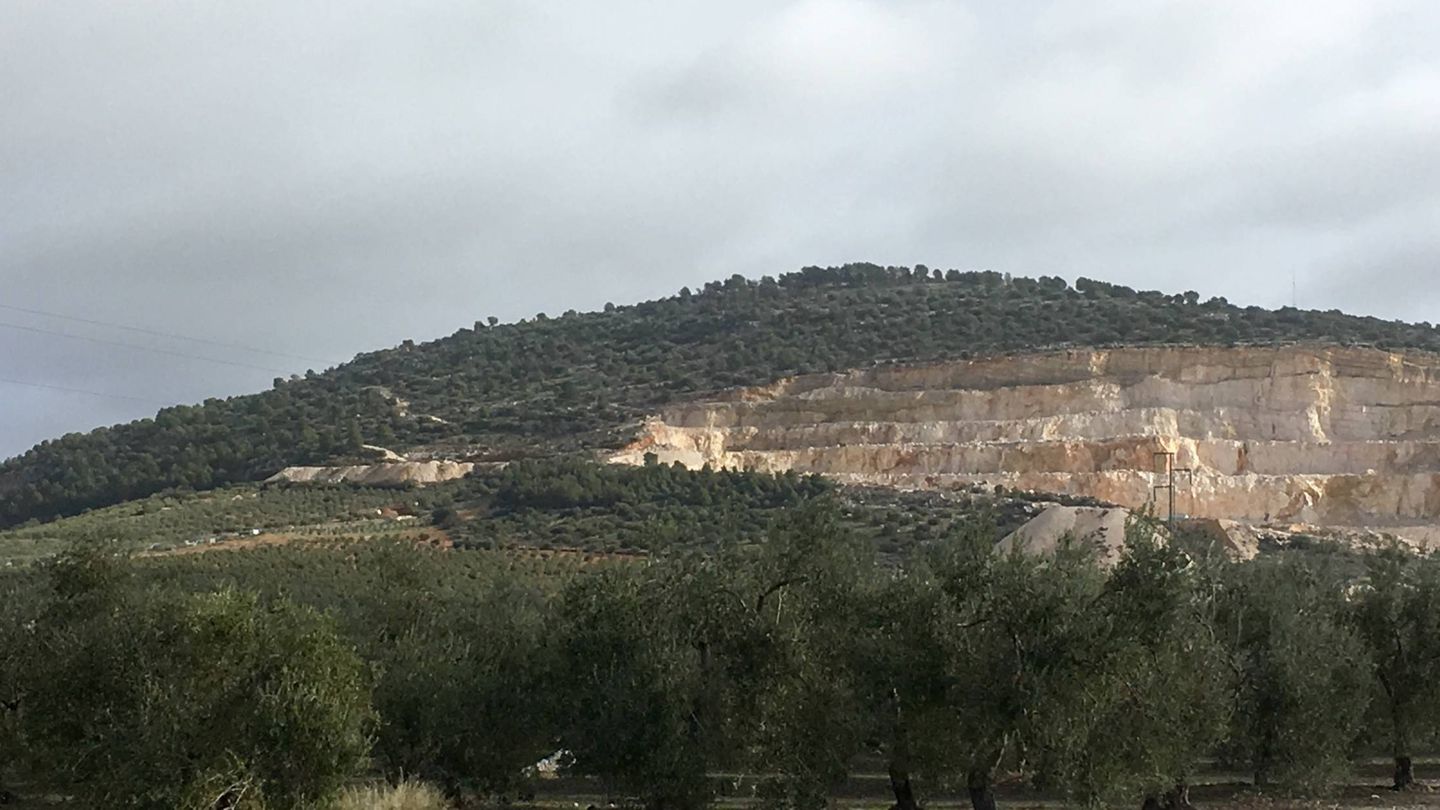 Paisaje de Pedrera, un mar de olivos que sólo interrumpen algunas canteras de piedra. (Javier Caraballo)