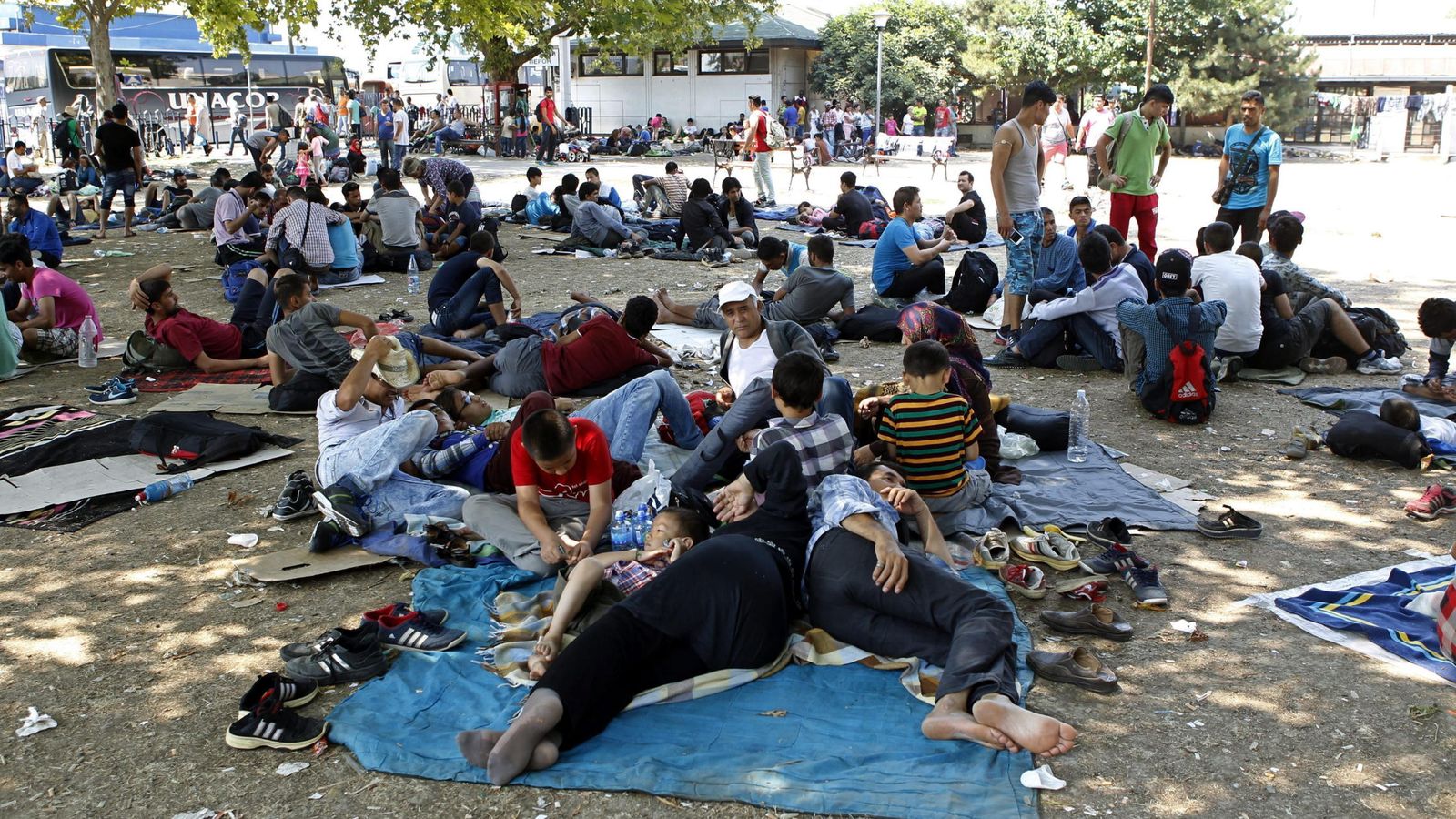 Foto: Numerosos inmigrantes sirios, paquistaníes y afganos, descansan antes de partir desde Serbia a distintos países de la UE. (EFE)