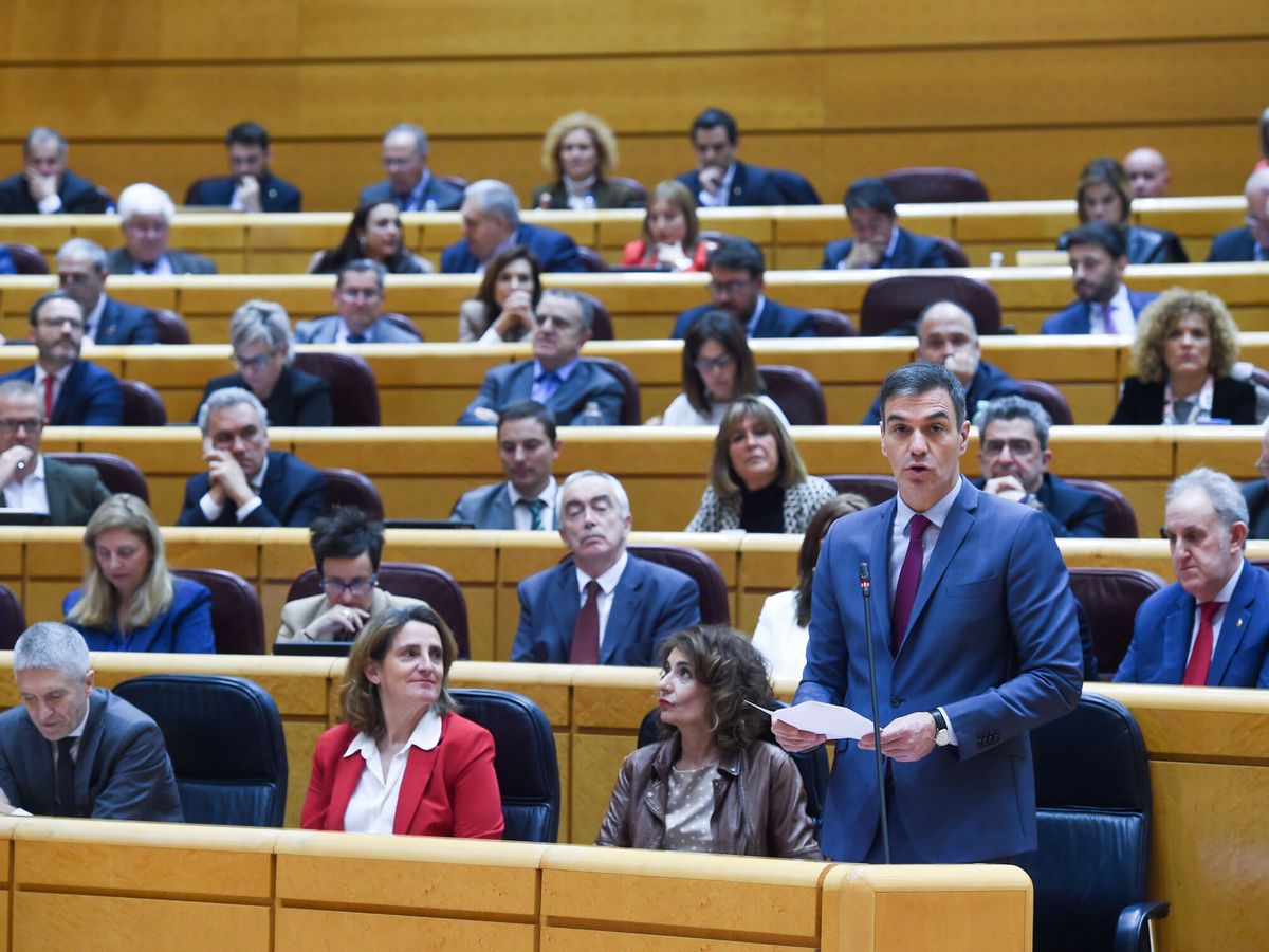 Foto: El presidente del Gobierno, Pedro Sánchez, durante una sesión de control al Gobierno, en el Senado. (Europa Press/Gustavo Valiente)