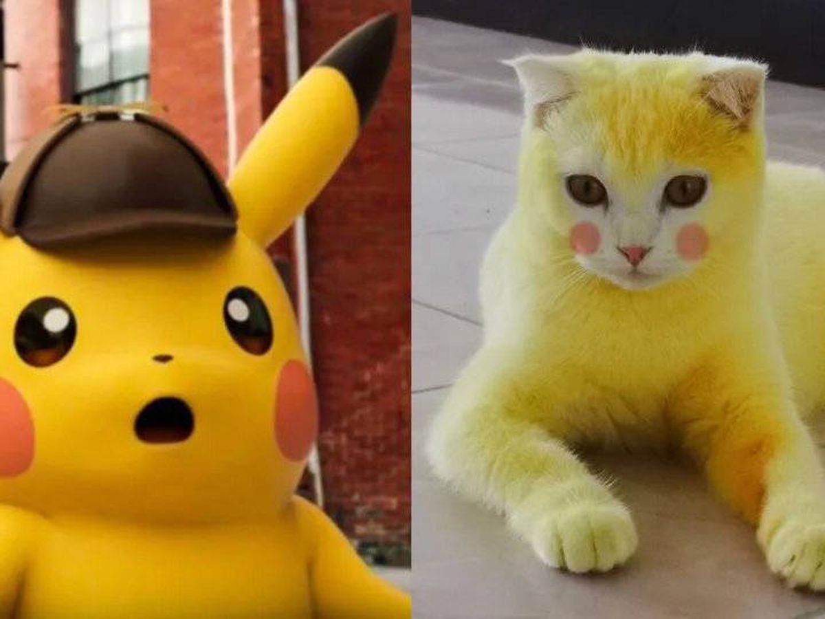 Foto: El de la izquierda es el verdadero Pikachu, por si no os dais cuenta. Foto: Reddit