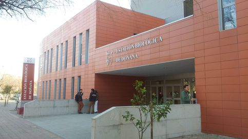 El CSIC investiga la denuncia de acoso sexual a científicas y becarias en su centro de Doñana