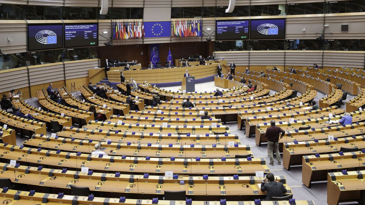 Decodificando la mente del Parlamento Europeo: tras los bastidores de la institución