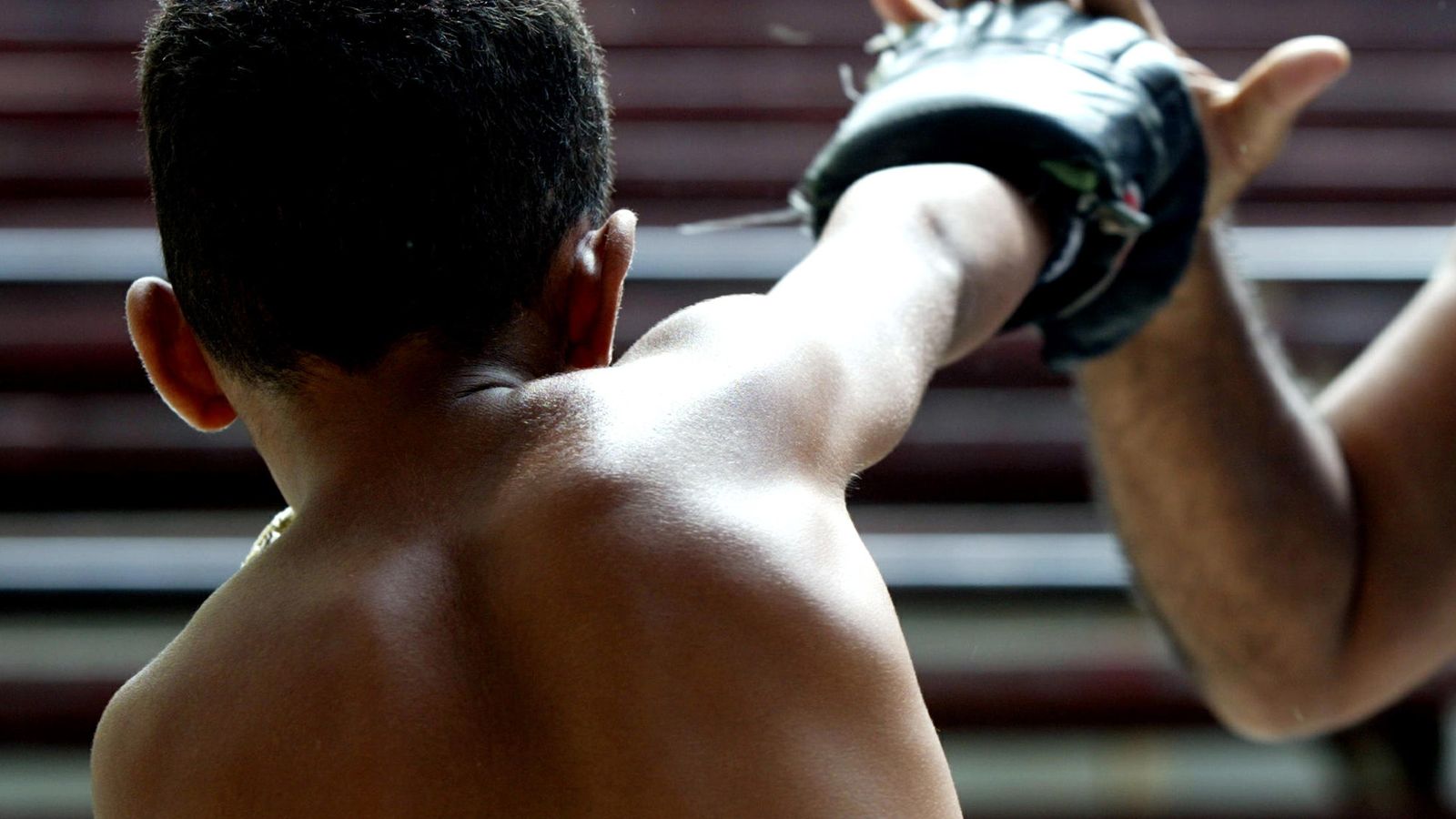 Foto: La Federación Española de Boxeo impulsa un programa para captar talento entre los más pequeños 