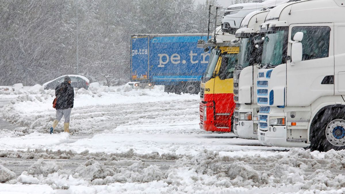 Decenas de personas saquean un camión con comida en plena nevada en la M-30 de Madrid
