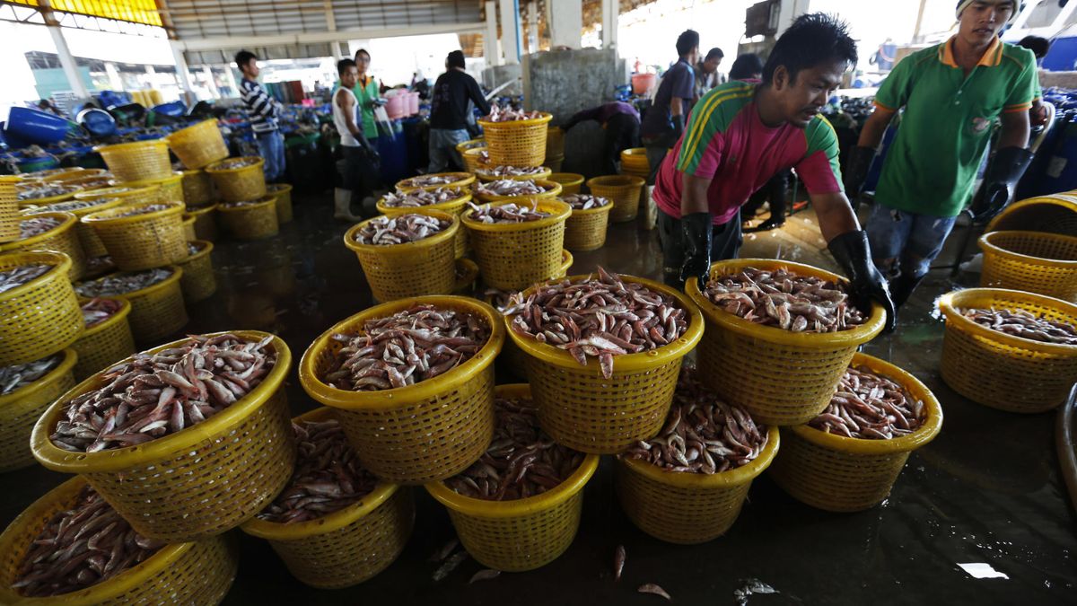 El marisco tailandés que tú comes lo pescan esclavos