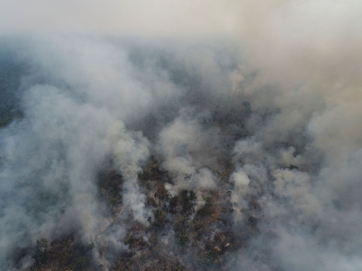 Foto: El pulmón del planeta no deja de arder (Reuters/Ueslei Marcelino)