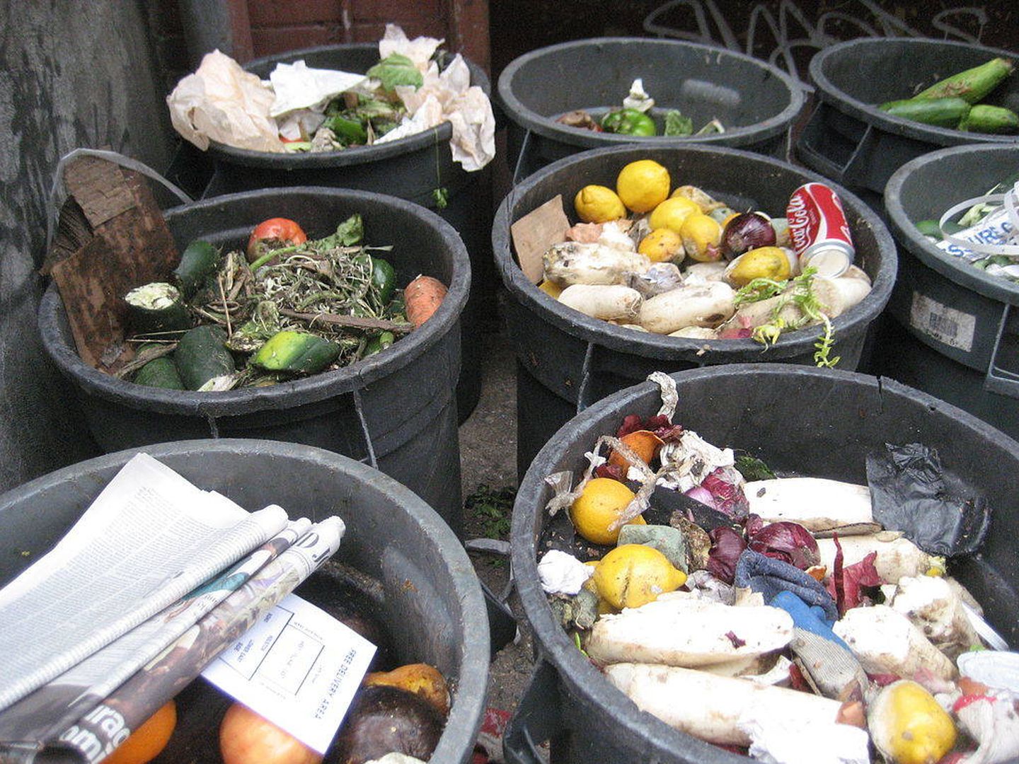 Como apuntan, un tercio de toda la comida producida a nivel mundial se tira a la basura (Imagen: Wikipedia)