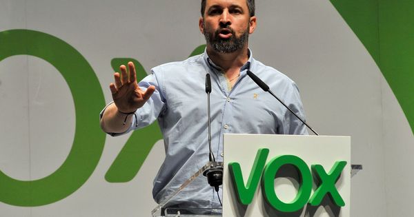 Foto: El presidente de Vox, Santiago Abascal (Efe)