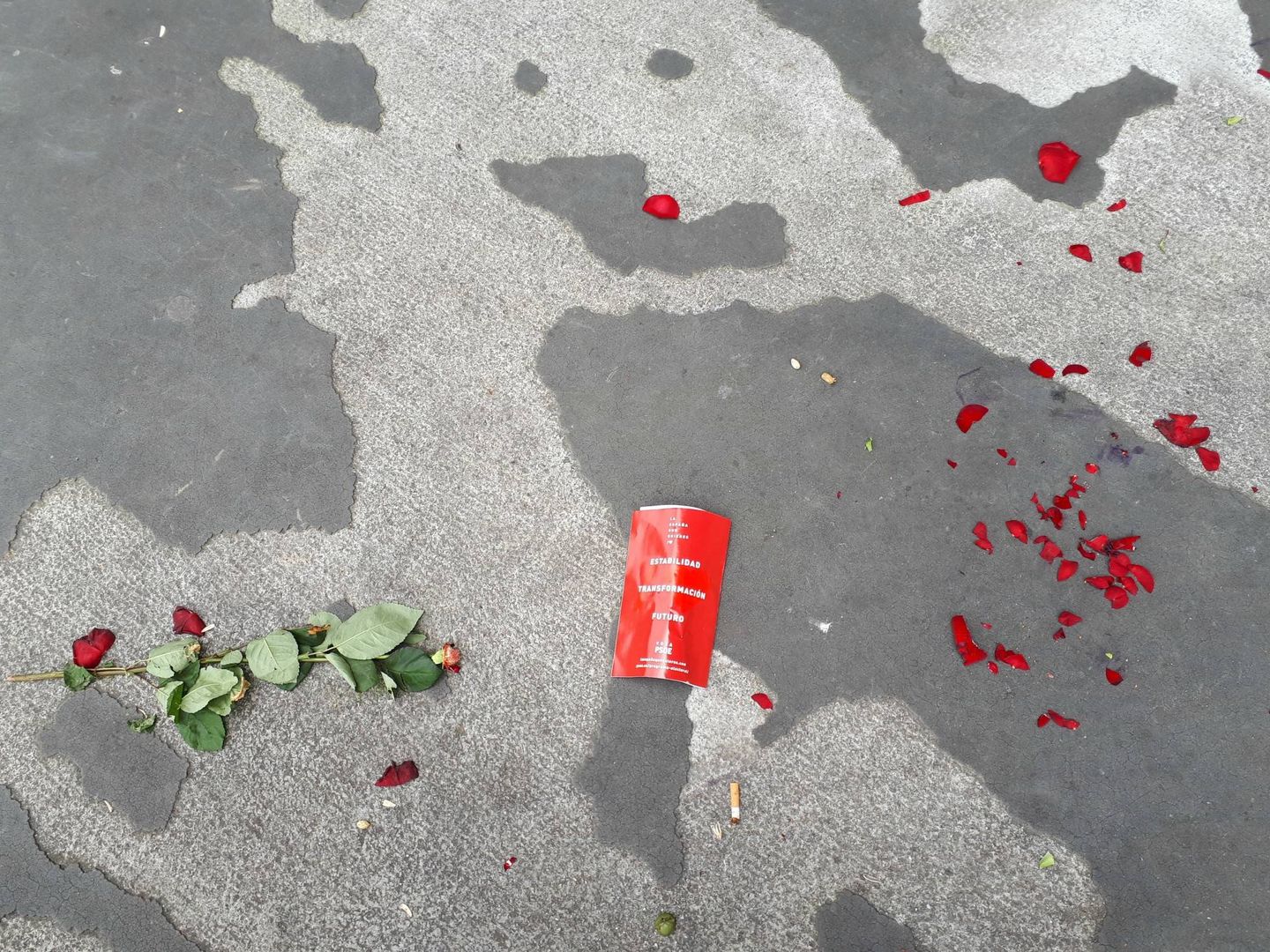 Una rosa pisoteada junto a varios pétalos y un programa del PSOE en el suelo en Rentería. (J. M. A.)