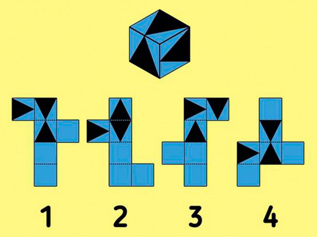 Foto: Acertijo visual: Observa las cuatro formas y averigua qué secuencia es la correcta (Genial.Guru)