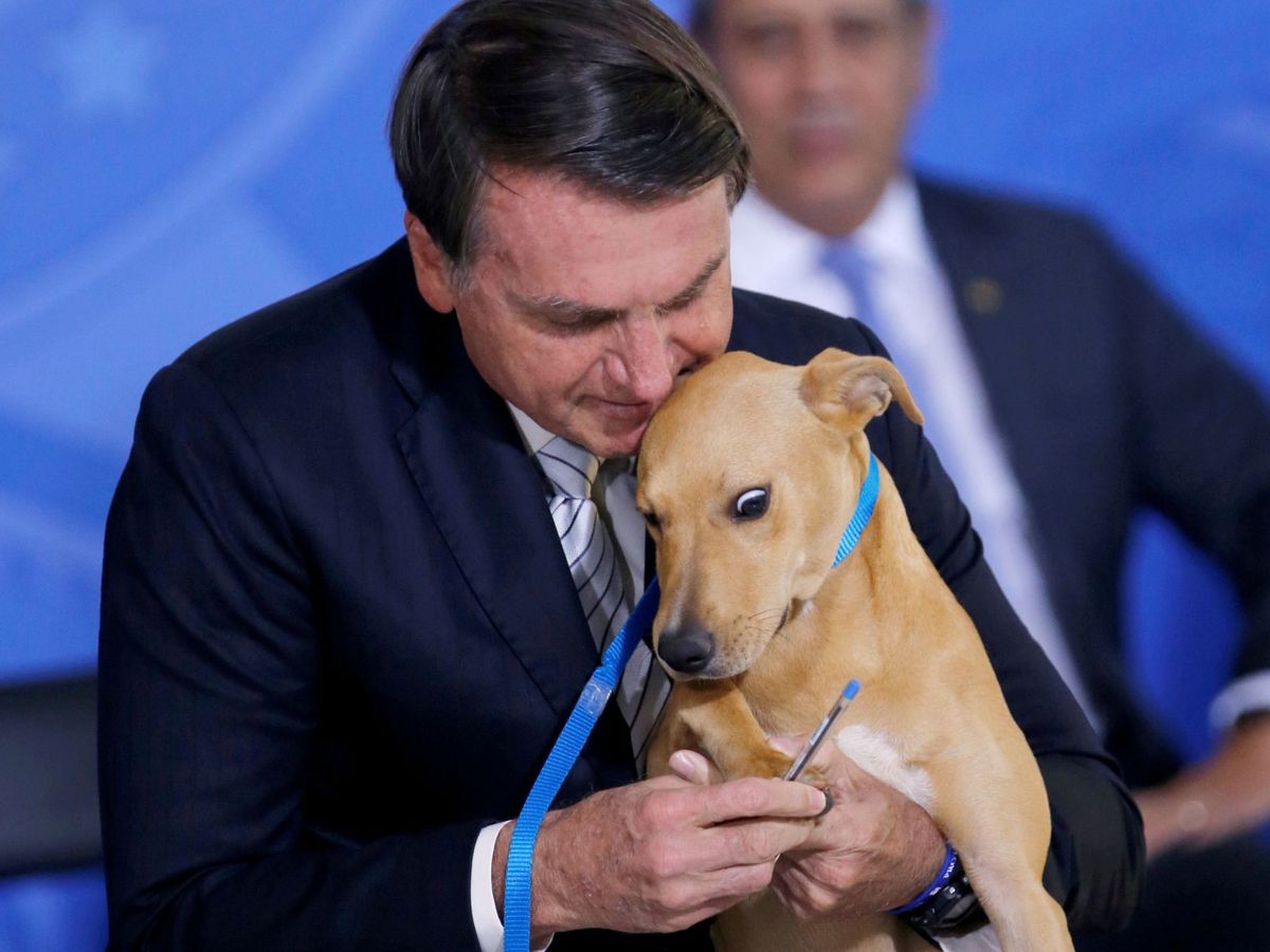Foto: Jair Bolsonaro, con un perro en una ceremonia. (Reuters)