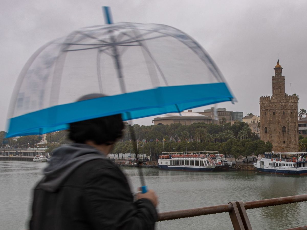 Foto: Un hombre se protege con paraguas. (EFE/Julio Muñoz)