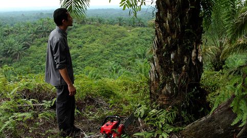 El 'ecoguerrero' que busca salvar la selva de Indonesia con su motosierra