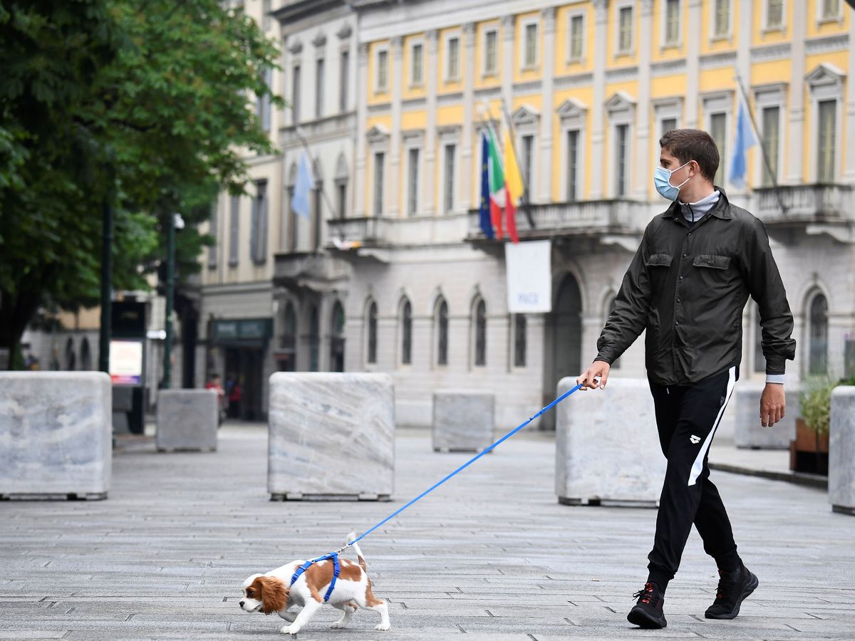 Foto: Un chico pasea a su perro por las calles de Bergamo, Italia. (Reuters)