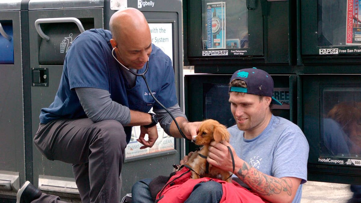 El veterinario callejero: cuida gratuitamente de las mascotas de las personas sin hogar  