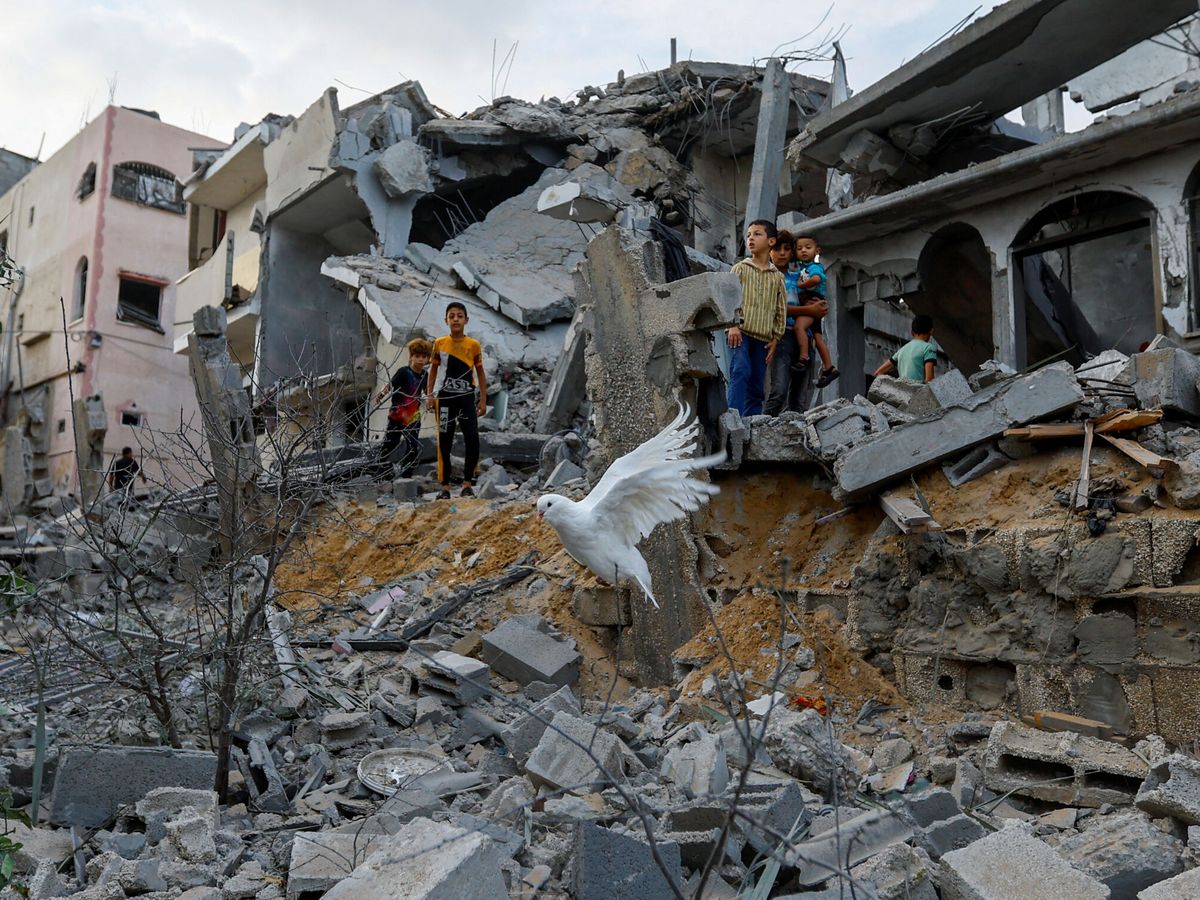 Foto: Una paloma sobrevuela los escombros de las casas destruidas por los ataques israelíes en Jan Yunis, en el sur de la Franja de Gaza (Reuters/Ibraheem Abu Mustafa)