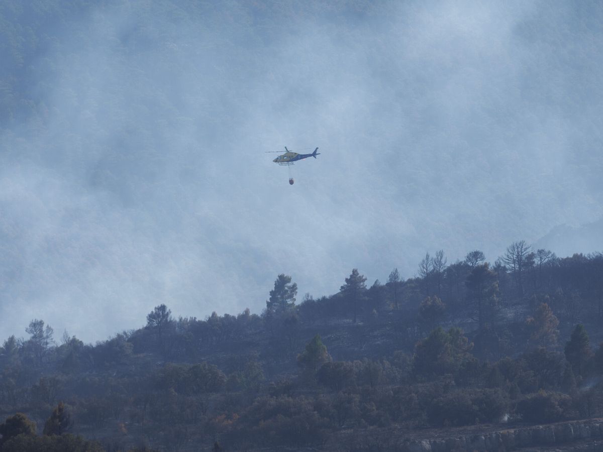 Foto: Foto de archivo, incendio forestal en la Comunidad Valenciana. (EFE/Biel Aliño)