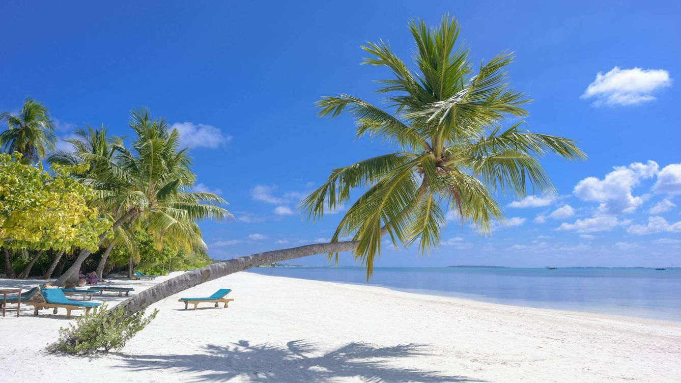 Foto: Playa en las islas Maldivas. (Asad Photo Maldives/Pexels)