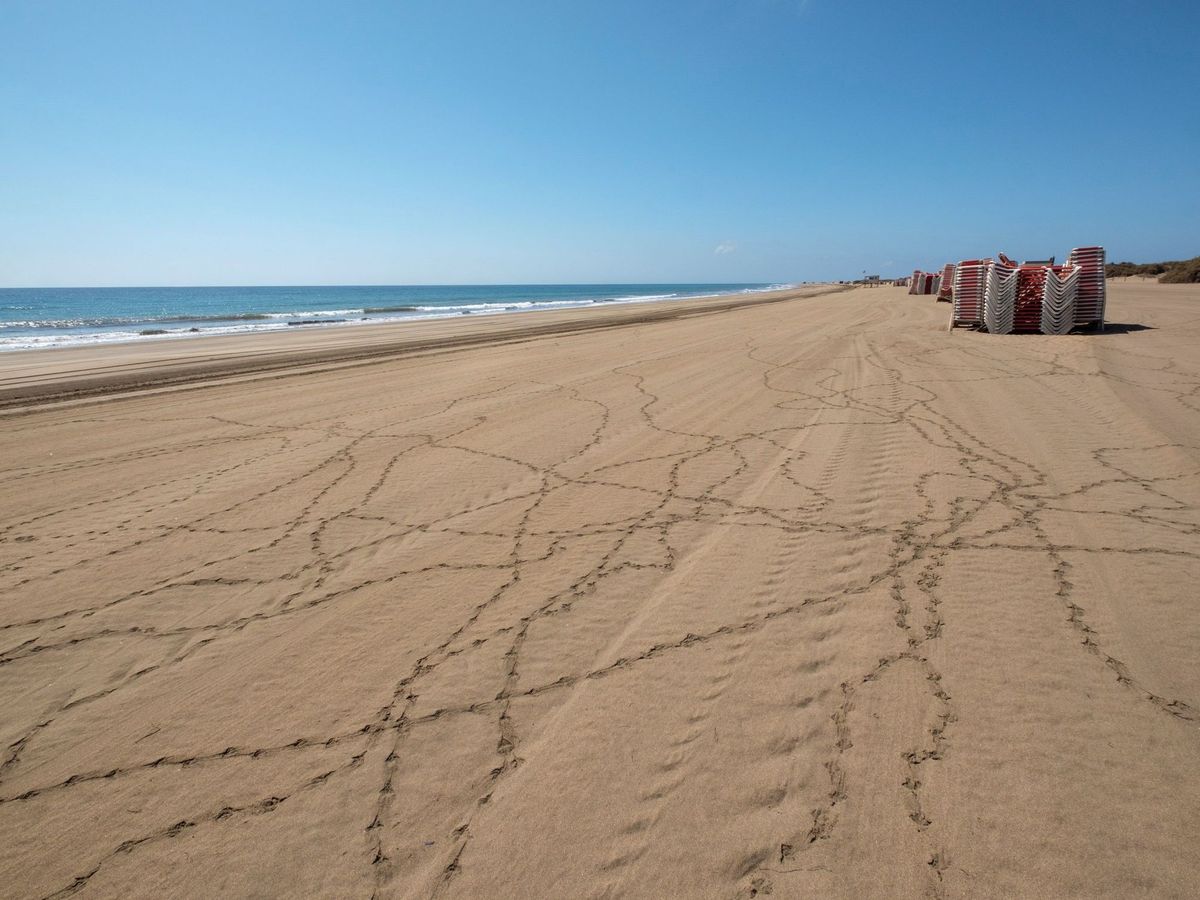 Foto: Huellas de palomas sobre la arena de la playa de Maspalomas (Gran Canaria), desiertas esta Semana Santa. (EFE)