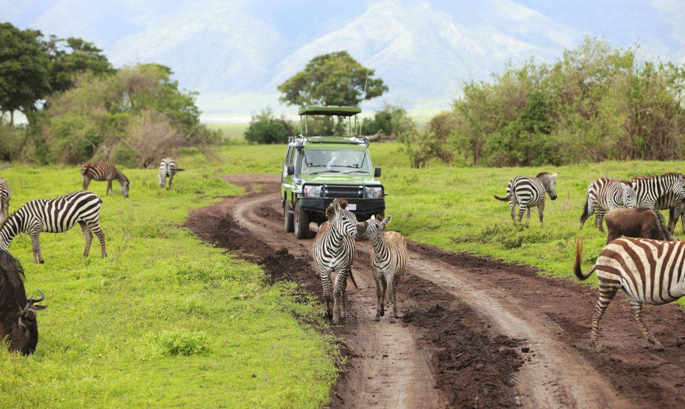 Safari a través del Serengueti. (iStock)