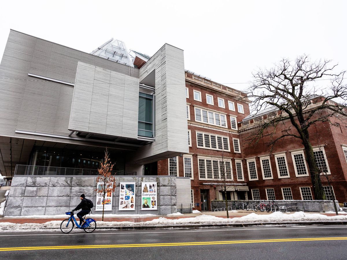 Foto: Edificio del Museo de Arte de la Universidad de Harvard (iStock)